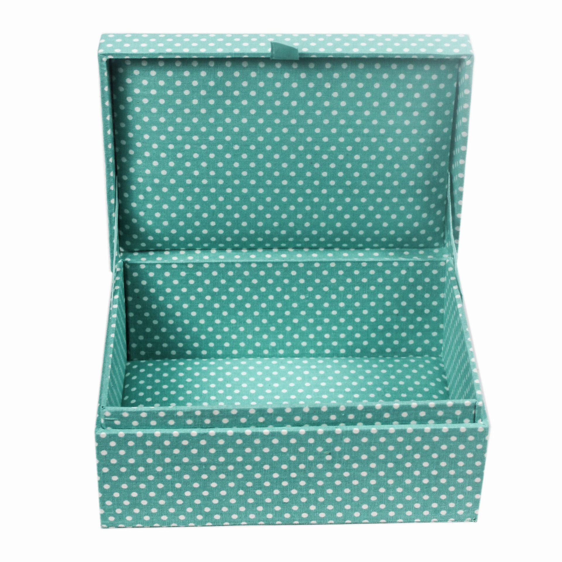 Baby Dinosaur Design Storage Box for Kids